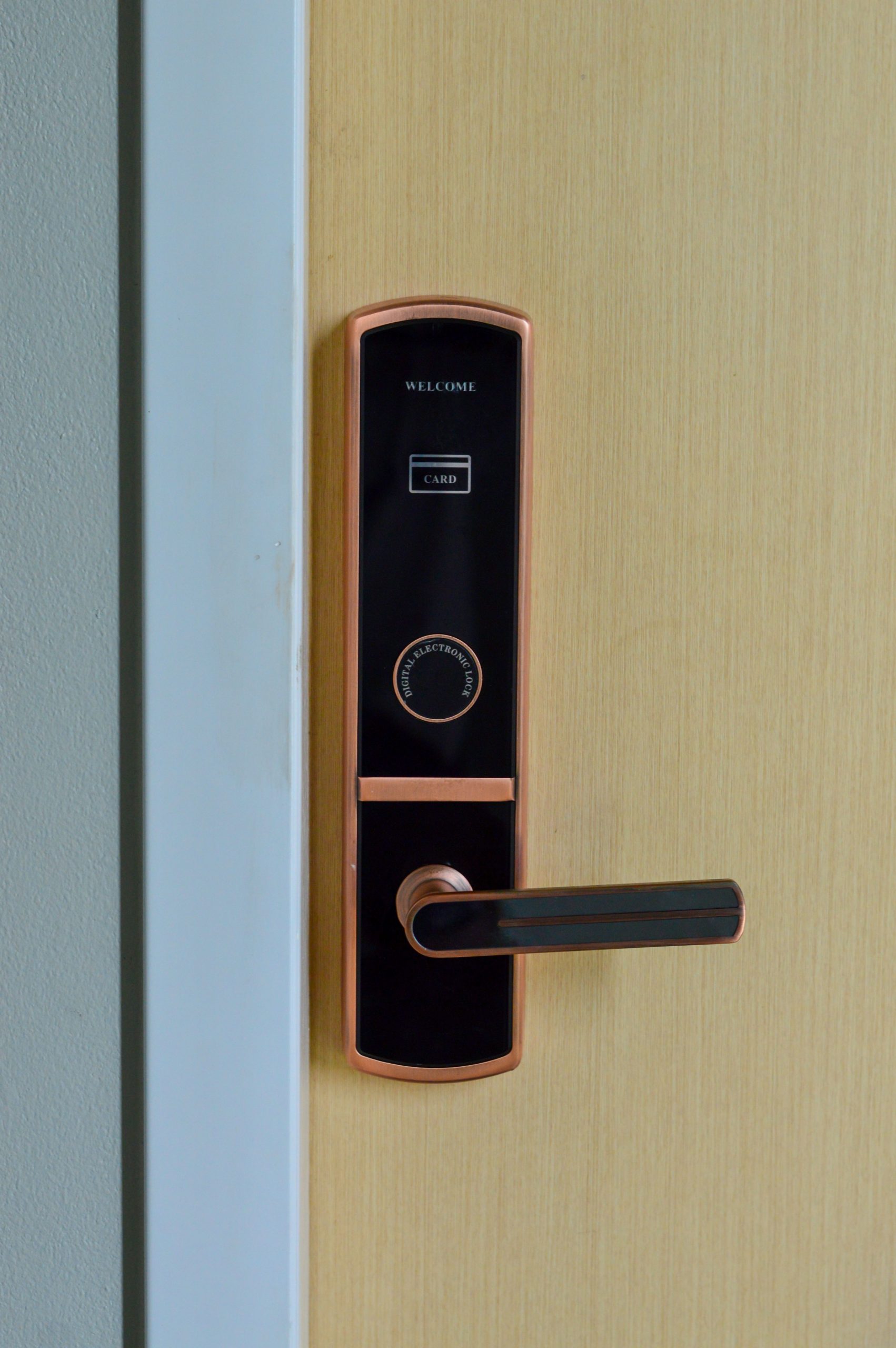 Stand-Alone Electronic Locks